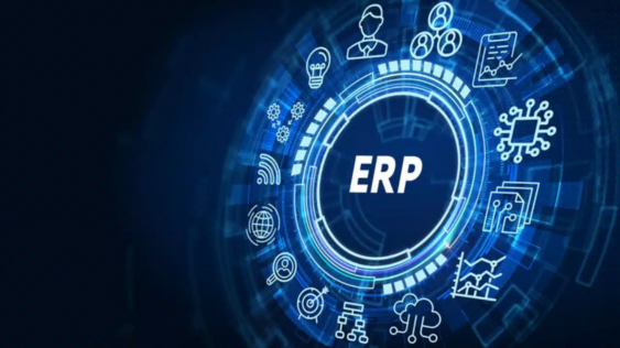 Dynamic ERP